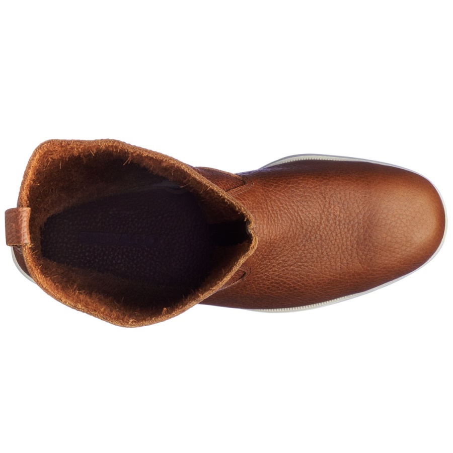 Hanko-bruin Sebago Nederland