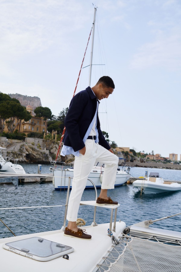 Portlandbruin Offer Nederlands