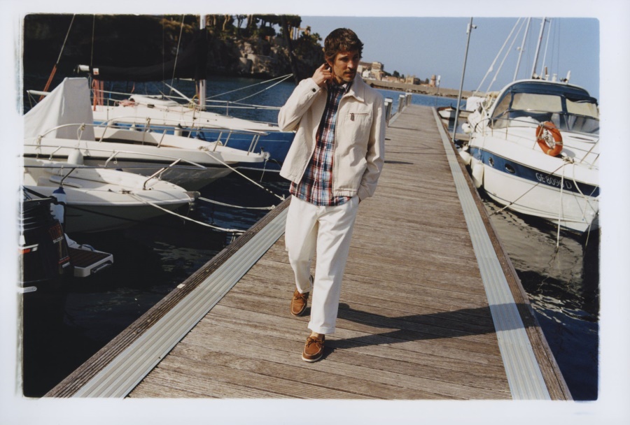 Portlandbruin Offer Nederlands